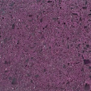 Purple Violet