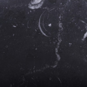 Kilkenny Blue Fossil