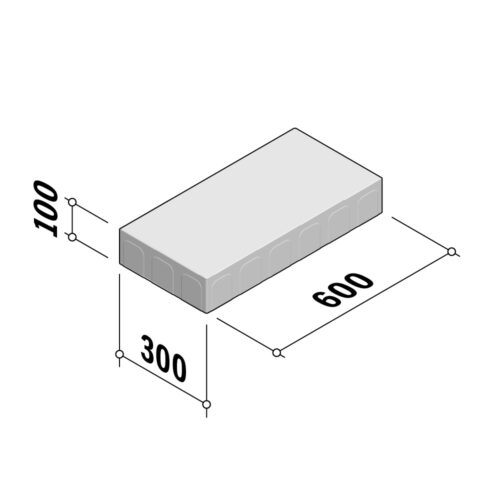 Blocks 300 | 300x600 | 100mm Thick