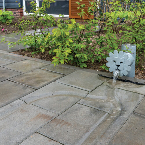 Rainwater Flags