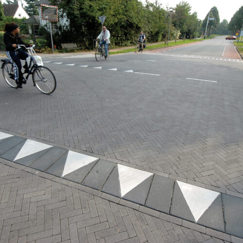 Traffic Safety Flags
