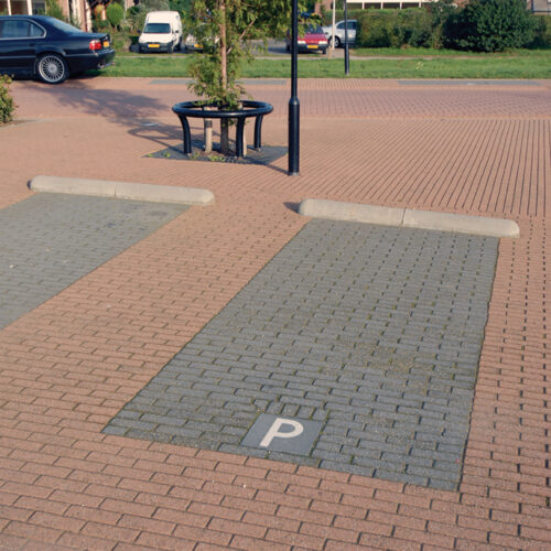 Parking Flags