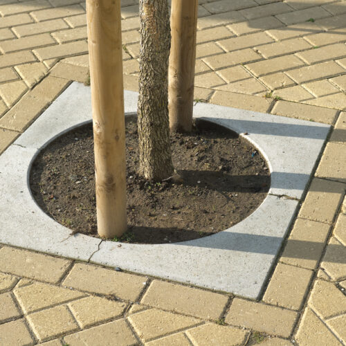 Closed Tree Surround 1200