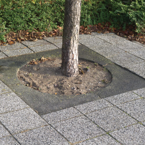 Closed Tree Surround 1200