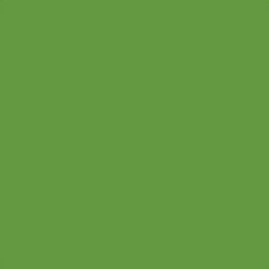 Yellow Green RAL 6018