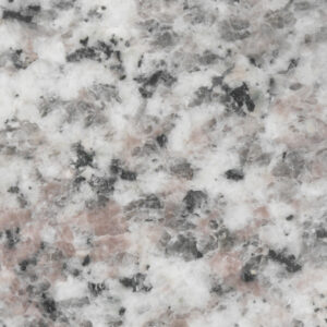 Coral : Pink