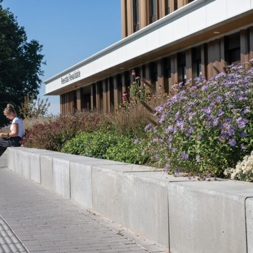 Flowerbed 600