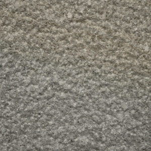 Forest Pennant : Mixed