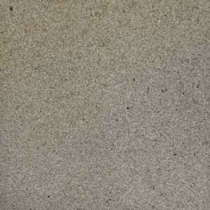 Forest Pennant : Mixed