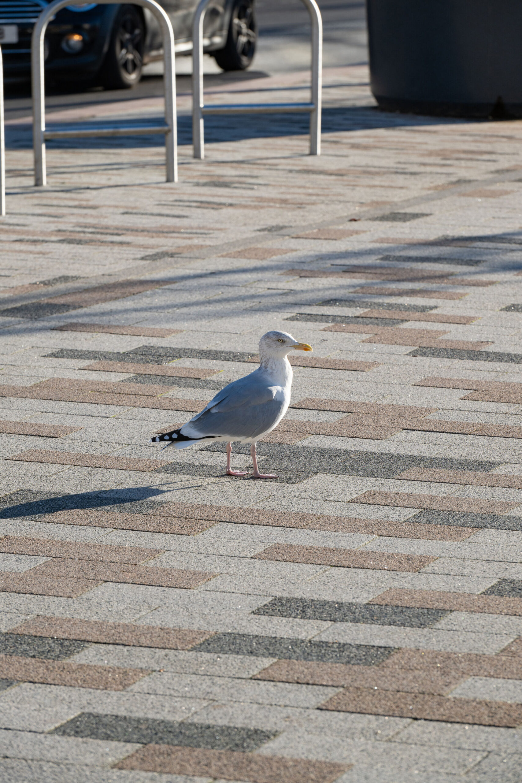 Blocks 100 - Image 5