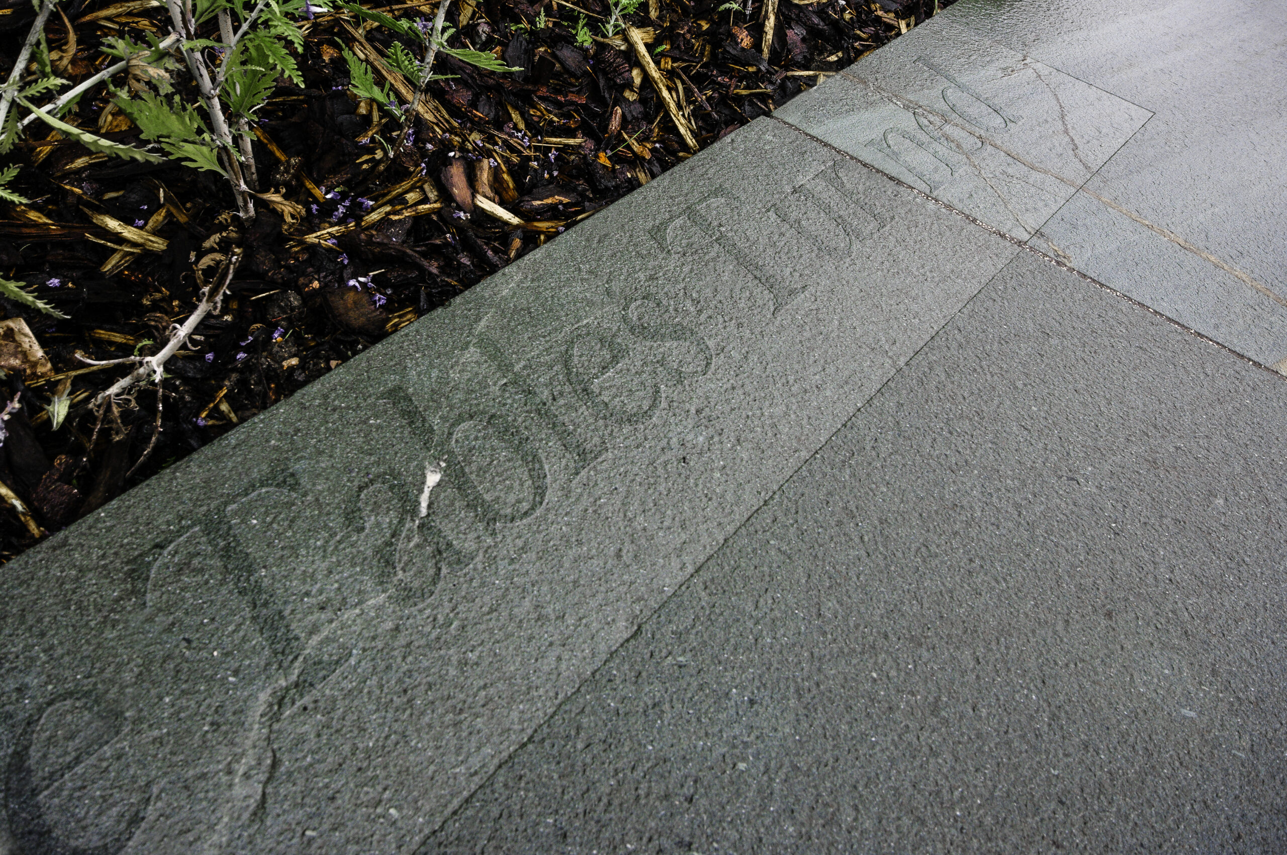 Burlington | Westmorland Green - Image 4