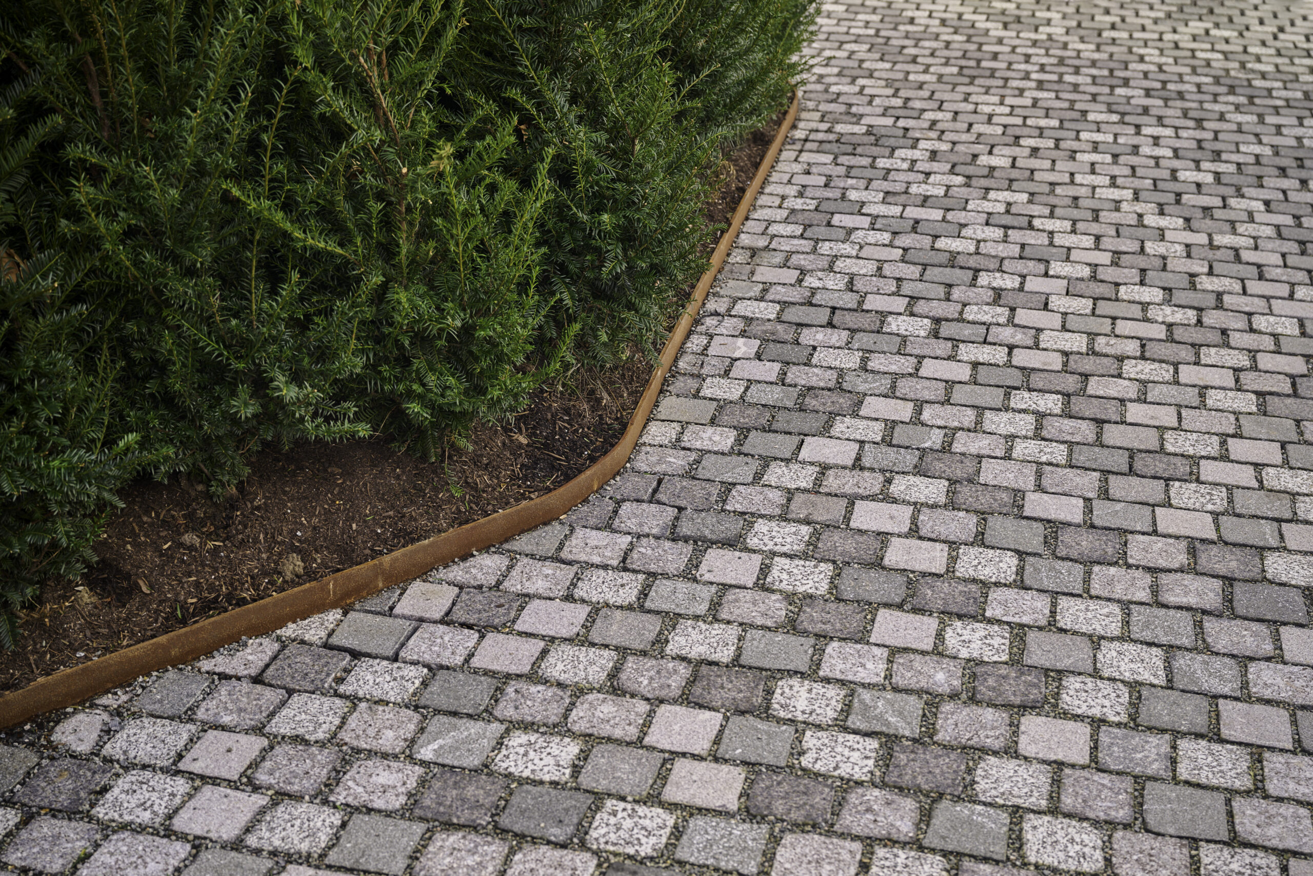 Gris | Platino - Image 3