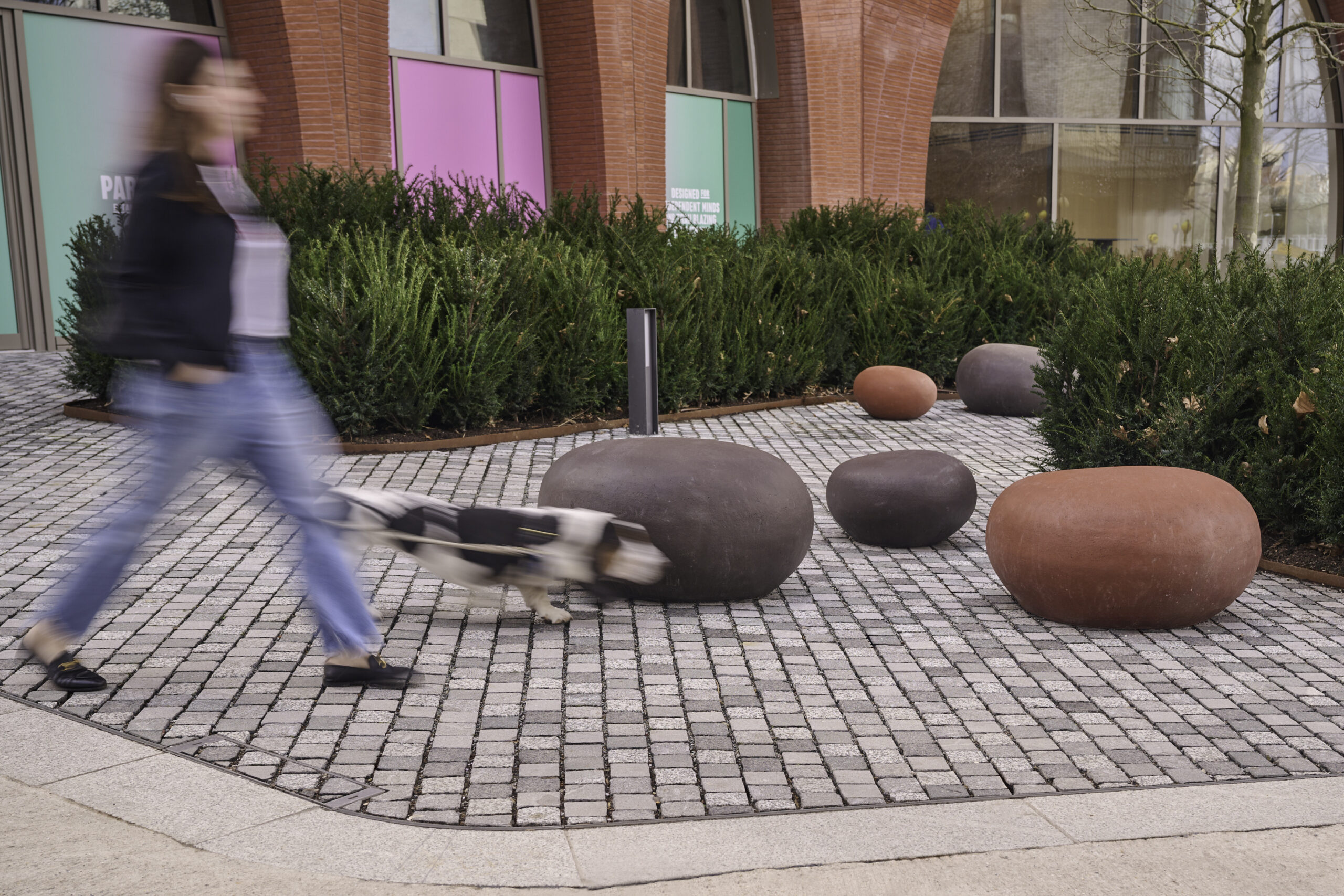 Gris | Platino - Image 4