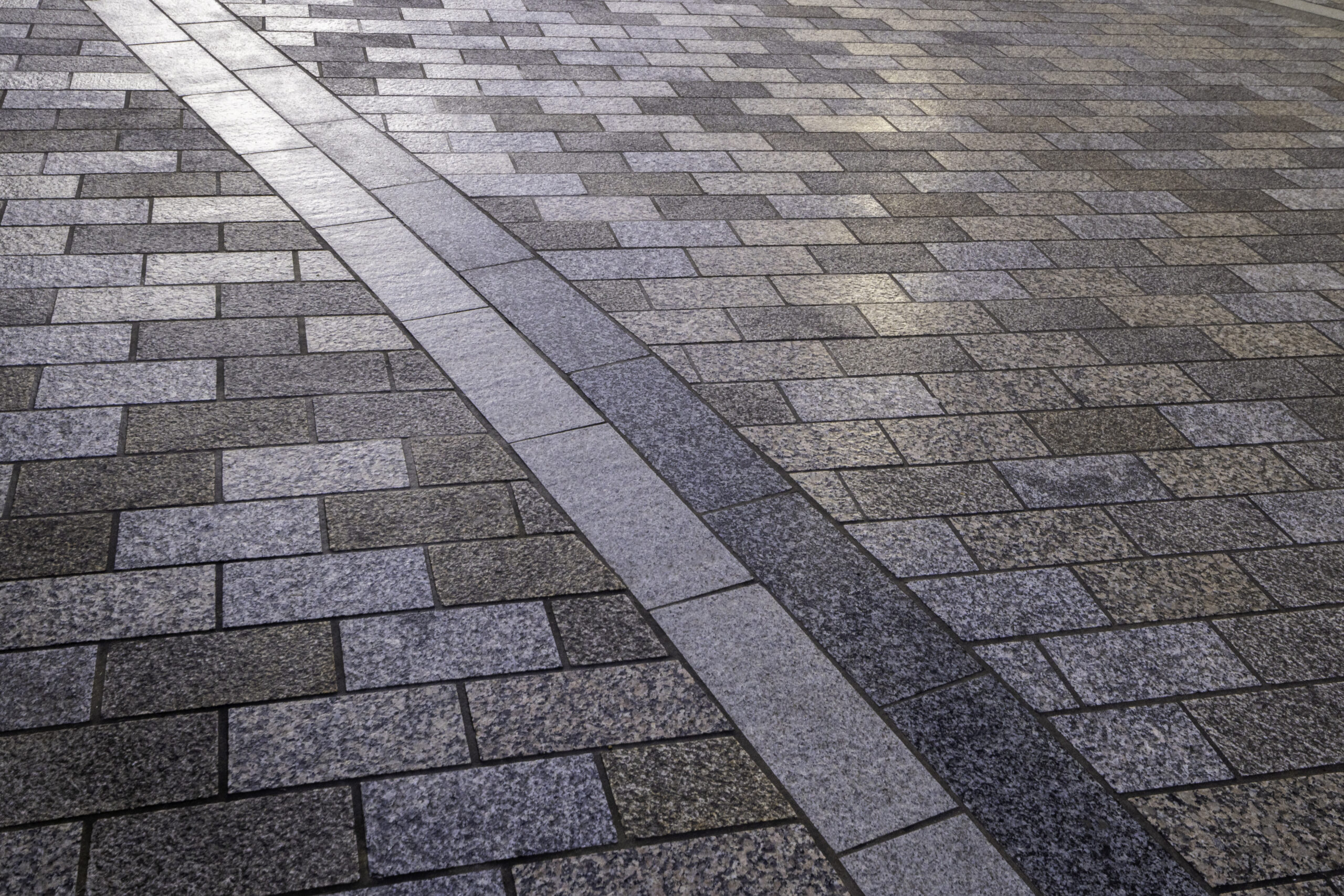 Gris | Silver - Image 3