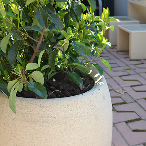 Net Planter