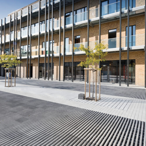 Planum Tree Surround