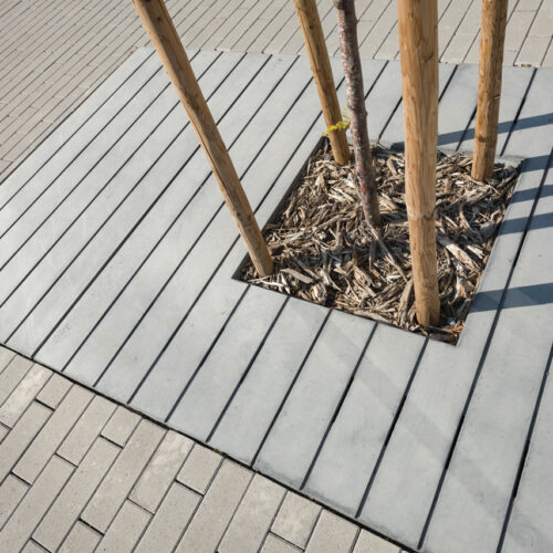 Planum Tree Surround