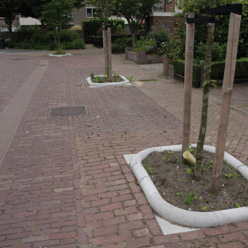 Resi Tree Surround 900