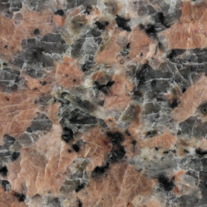 Rose : Maple
