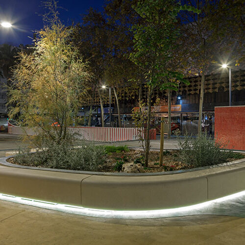 Serp