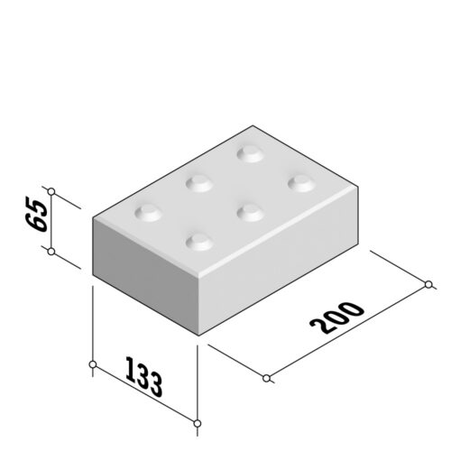 Tactile Pavers | Blister | 200x133 | 65mm Thick