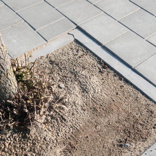 Tree Protection Kerb 100