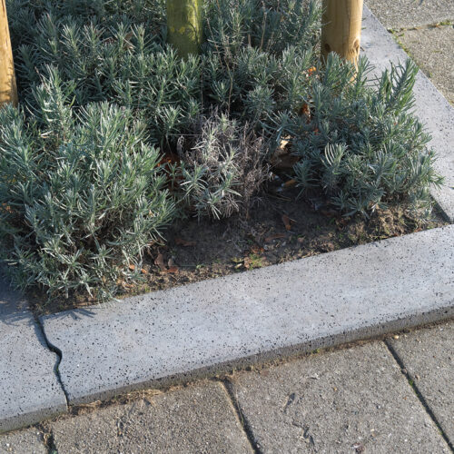 Tree Protection Kerb 200