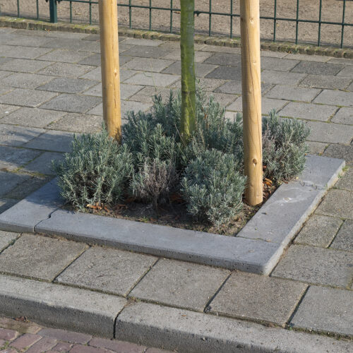 Tree Protection Kerb 200
