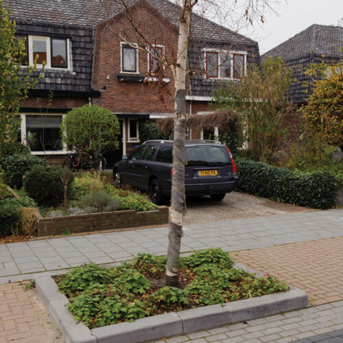 Tree Protection Kerb 130-150