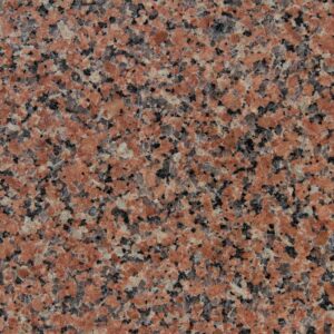 Rosa : Monforte