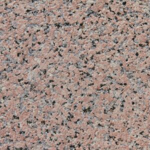 Rosa : Monforte